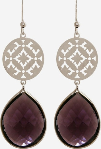 Gemshine Earrings in Silver: front