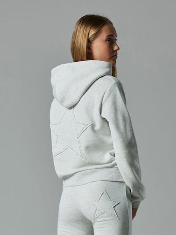 LMTD Sweatshirt in Grey