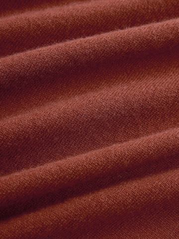 Next Pullover 'N. Premium' i brun