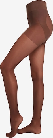 CALZEDONIA Fine Tights in Brown: front