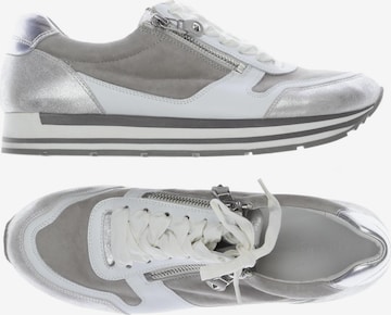 Kennel & Schmenger Sneaker 41 in Grau: Vorderseite