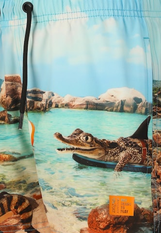 ZigZag Board Shorts 'Sealife' in Blue