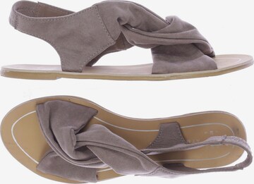 Atmosphere Sandals & High-Heeled Sandals in 38 in Brown: front