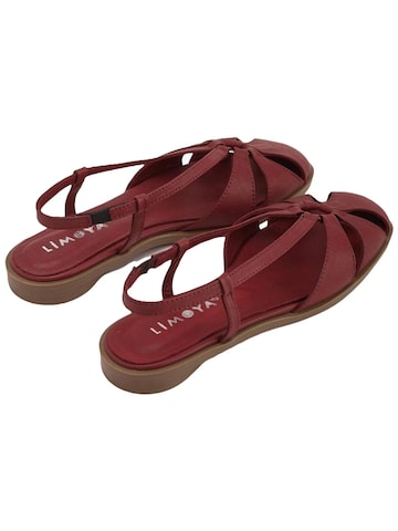 Limoya Sandals 'Damensandalen' in Red