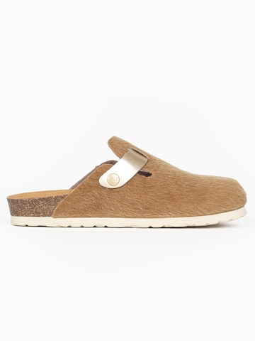 Bayton Cokle 'MOKE' | rjava barva