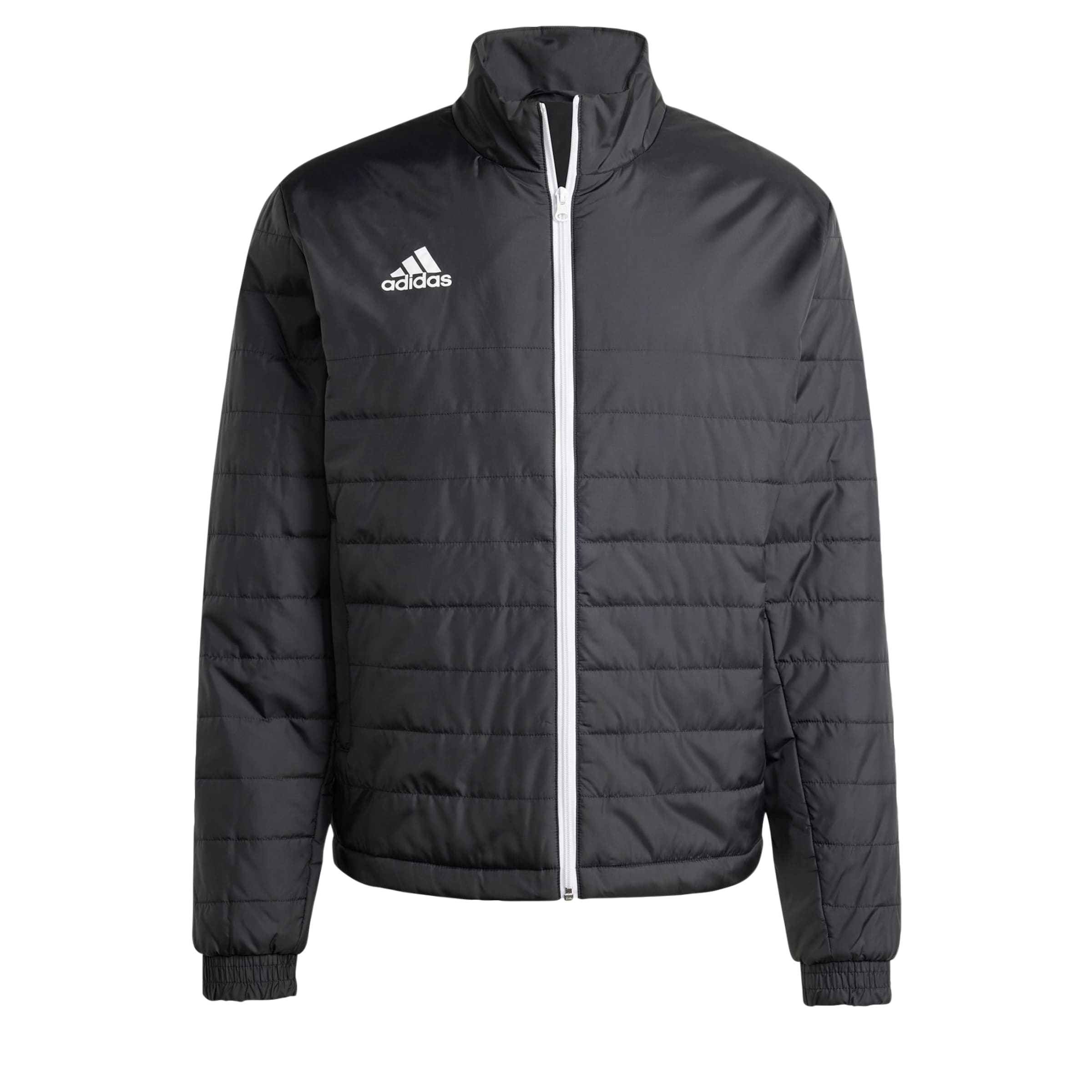 ADIDAS SPORTSWEAR - Chaqueta deportiva 'Entrada 22' en negro: frente