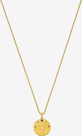 PURELEI Necklace 'Pisces' in Gold: front