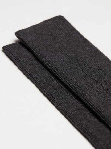 CALZEDONIA Socks in Grey