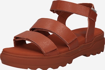 VANS Strap Sandals 'Colfax' in Brown: front