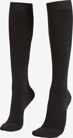 CALZEDONIA Knee High Socks in Grey: front