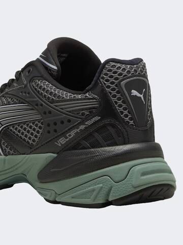 PUMA Sneaker ' Velophasis ' in Grau