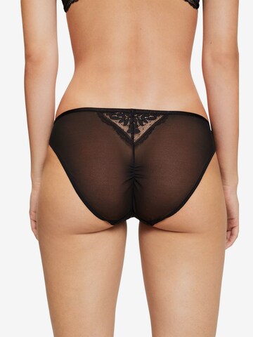 ESPRIT Panty in Black