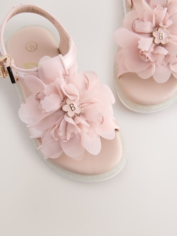 Baker by Ted Baker Sandalen in Roze