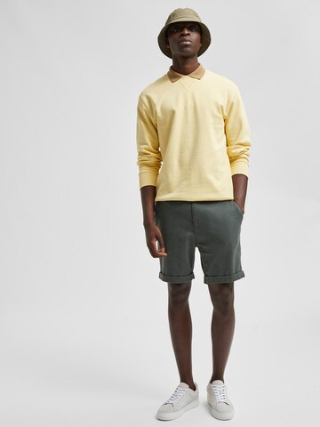 SELECTED HOMME Regular Shorts 'Luton' in Grün