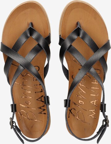 Blowfish Malibu T-Bar Sandals in Black