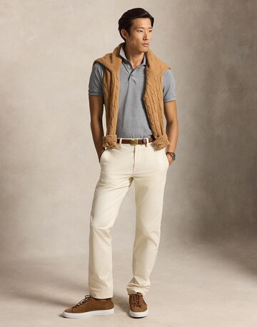 Polo Ralph Lauren Shirt in Grijs