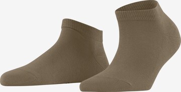 FALKE Ankle Socks 'Family' in Beige: front