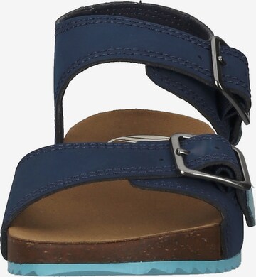 Sandales TIMBERLAND en bleu