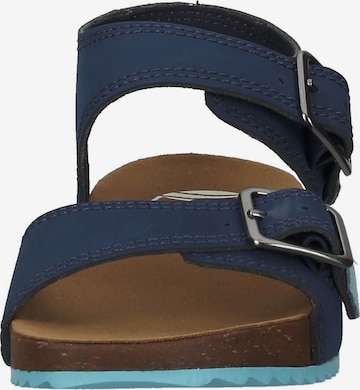 TIMBERLAND Sandals in Blue
