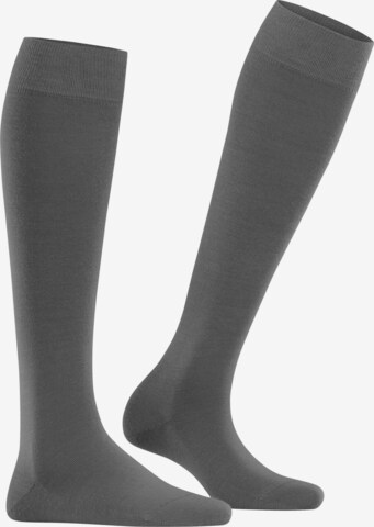 FALKE Knee High Socks 'Softmerino' in Grey: front
