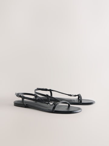 Next Sandalen met riem 'Forever Comfort' in Zwart