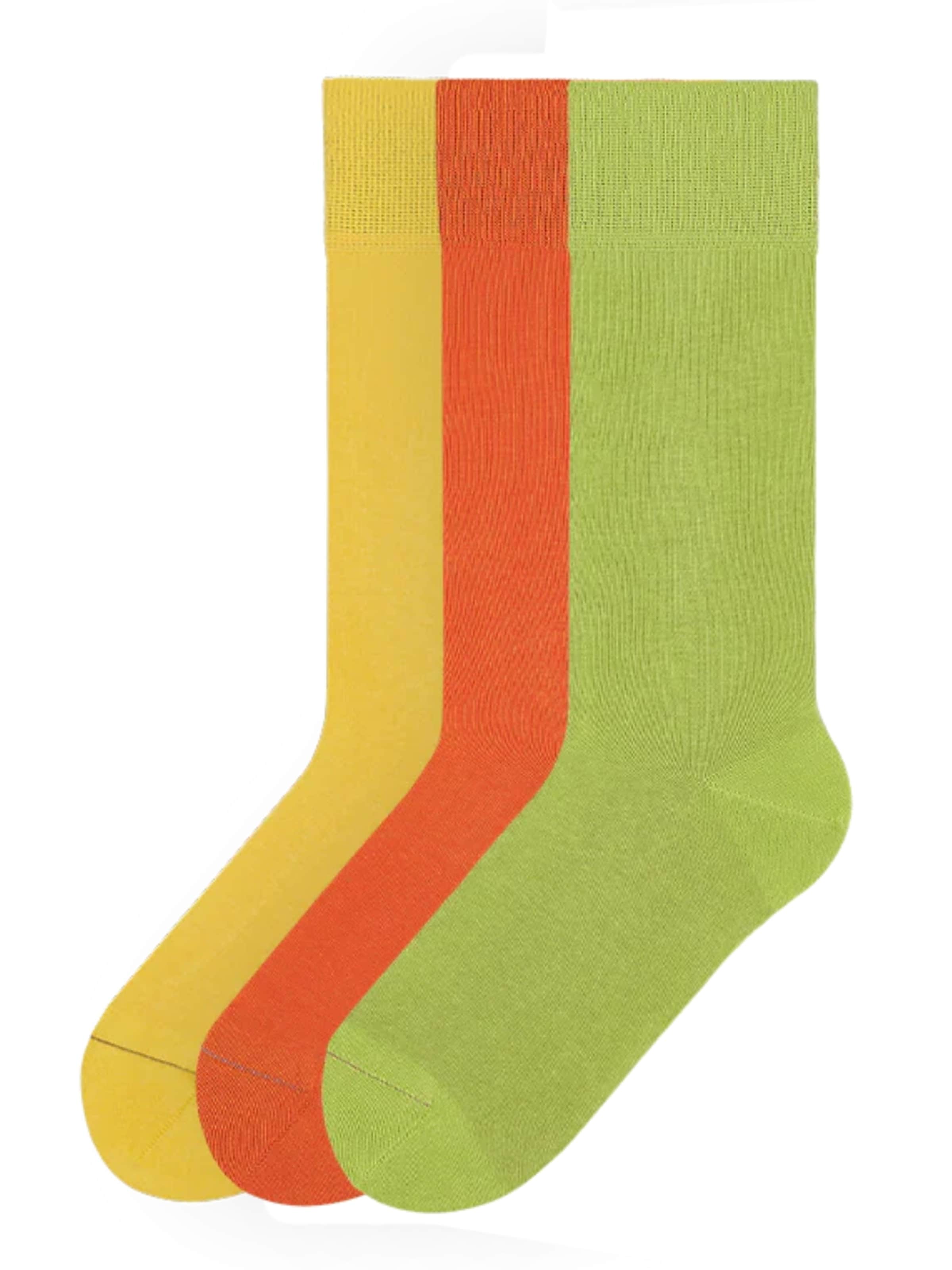Von Jungfeld Socks 'Signature Innenbund' in Mixed colors: front