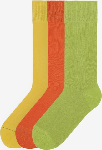 Von Jungfeld Socks 'Signature Innenbund' in Mixed colors: front