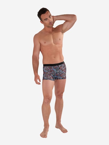 Boxers ' Biscayne ' HOM en bleu