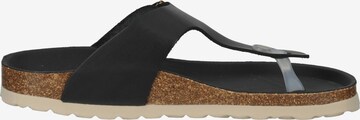 COSMOS COMFORT T-Bar Sandals in Black