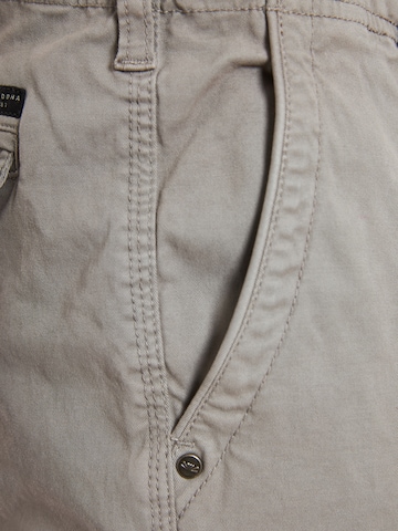 Regular Pantalon cargo Funky Buddha en gris