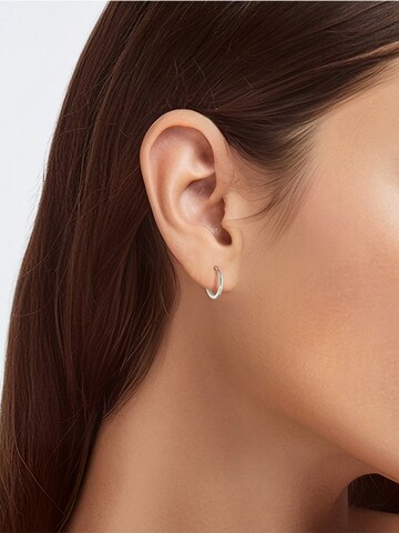 Lucardi Earrings in Silver