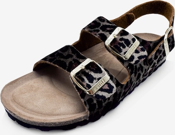 thies Sandals 'thies 1856 ® Rec Backstrap Leo Sandal' in Beige: front