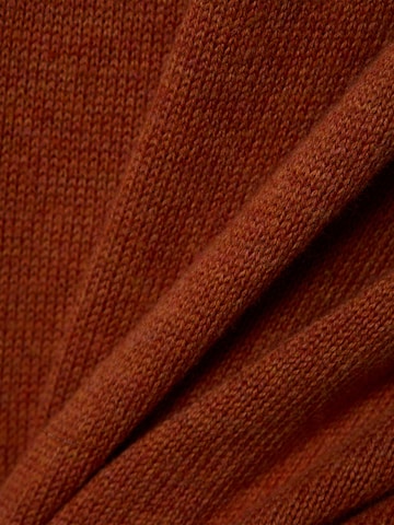 Nils Sundström Trui in Bruin