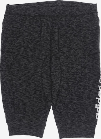 ADIDAS NEO Pants in XL in Grey: front