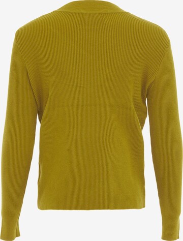 paino Sweater in Green