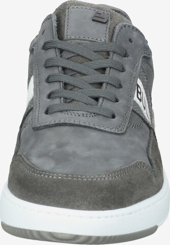 Baskets basses BULLBOXER en gris