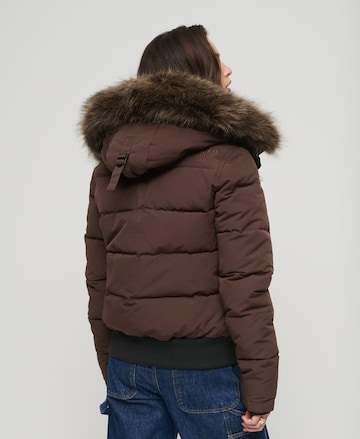 Superdry Winter Jacket in Brown