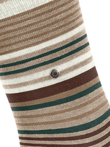BURLINGTON Socks 'Stripe' in Brown