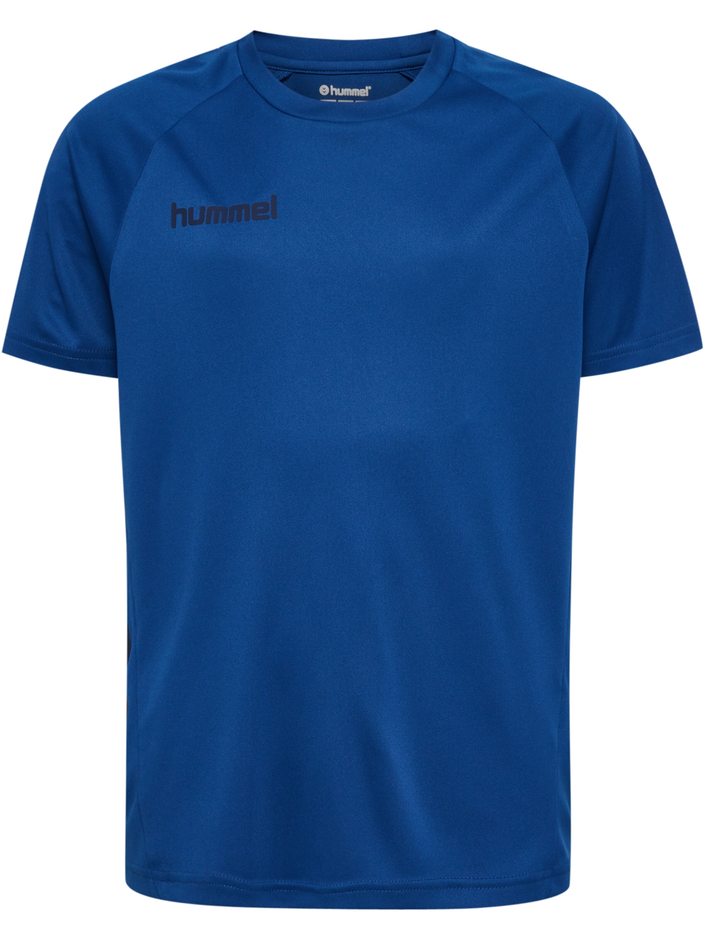 Hummel Trainingspak 'Promo' in Blauw
