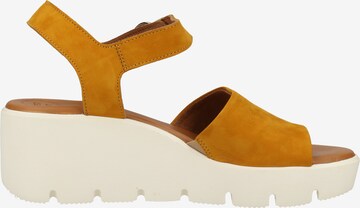 Paul Green Sandals in Yellow