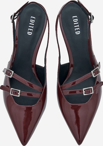 Escarpins a bride arriere Gilliane EDITED en Bordeaux ABOUT YOU