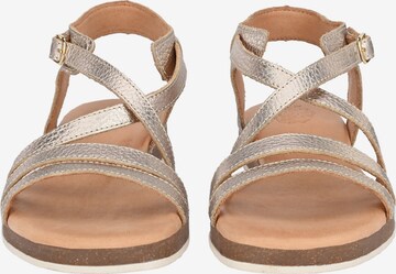 Apple of Eden Sandalen met riem ' IRINA ' in Goud