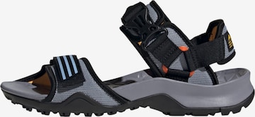 ADIDAS TERREX Sandals 'Cyprex Ultra Dlx' in Grey: front