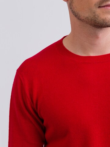 Pullover di CASH-MERE.CH in rosso