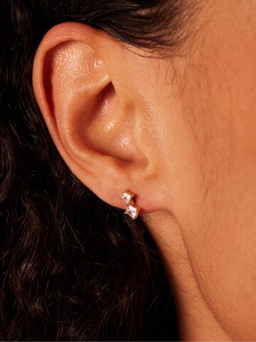 Lucardi Earrings in Gold: front