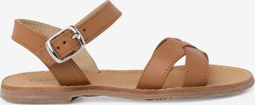 Sandales Pisamonas en marron : devant