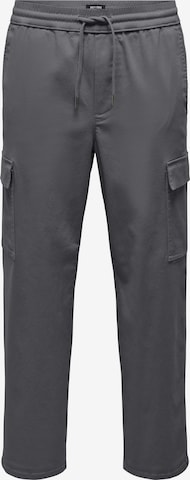 Loosefit Pantalon cargo Only & Sons en gris : devant