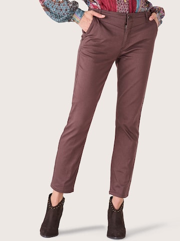 Camomilla Regular Traditional Pants in Brown: front