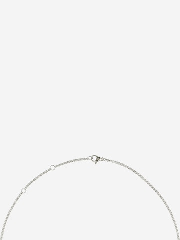 TOMMY HILFIGER Necklace in Silver