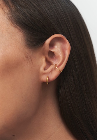 Stilnest Earrings in Gold: front